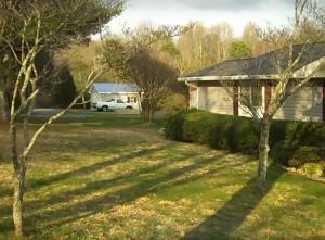 Before Raised Garden Was Built - view from house