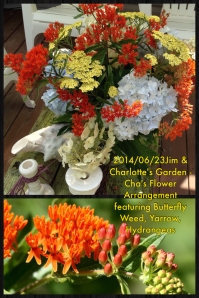 2014-06-23 Jim & Charlotte's Garden - Cha's Flower Arrangement featuring Butterfly Weed, Yarrow, Hydrangeas