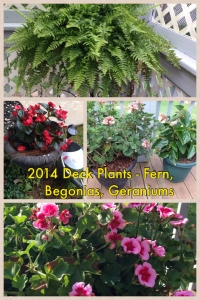 2014 Deck Plants