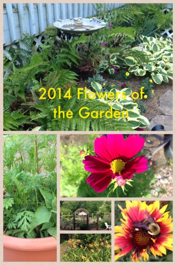 2014 Flowers of the Garden