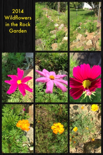 2014 Wildflowers in the Rock Garden