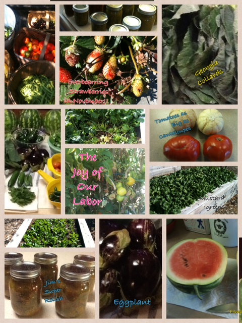 The Joy of Our Labor