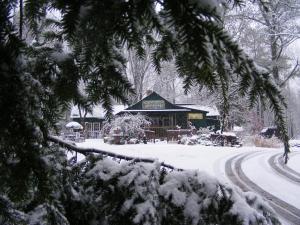 WildFlower Cafe in Winter