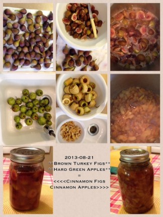 2013-08-21 Cinnamon Figs and Apples