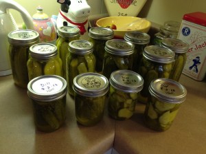 2013-08-02 Dill Pickles