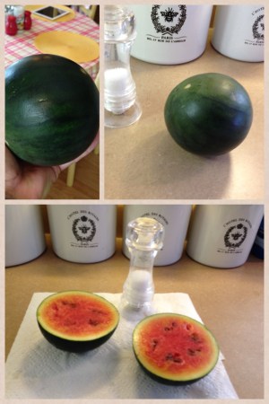 2013-08-28 Sugar Baby - 76 days to maturity - dark green skin, dark red flesh. This year they were about 1-2 pounds each ... easily held in the palm of your hand. Firm and sweet. Photo by Jim Davenport