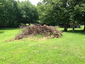 Our garden burn pile.  We accumulate it over the growing season and burn it as a bonfire in the fall on a dreary damp day