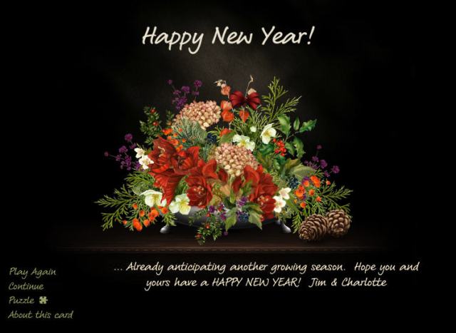 2015 New Years Card Pic