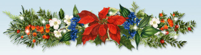 2016-christmas-card-header