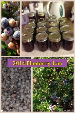 2014 Blueberry Jam Collage