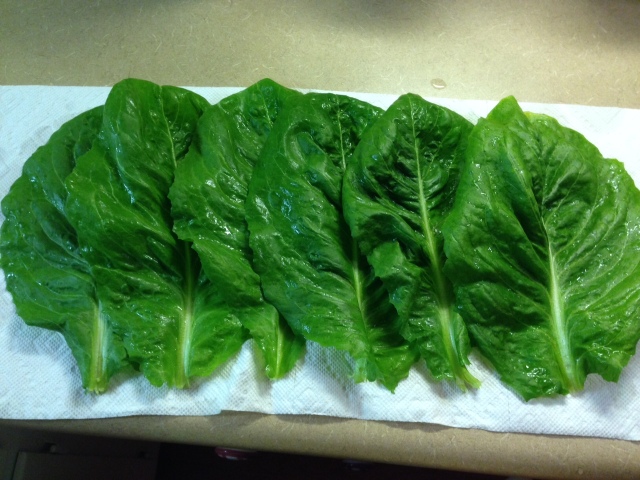 2015 Corcarde Lettuce Leaves -a  perennial - IMG_6219