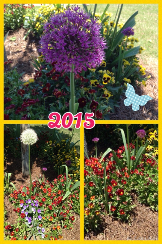 2015 Hoschton Front Flower Bed