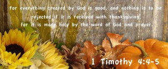 Everything Created By God Is Good